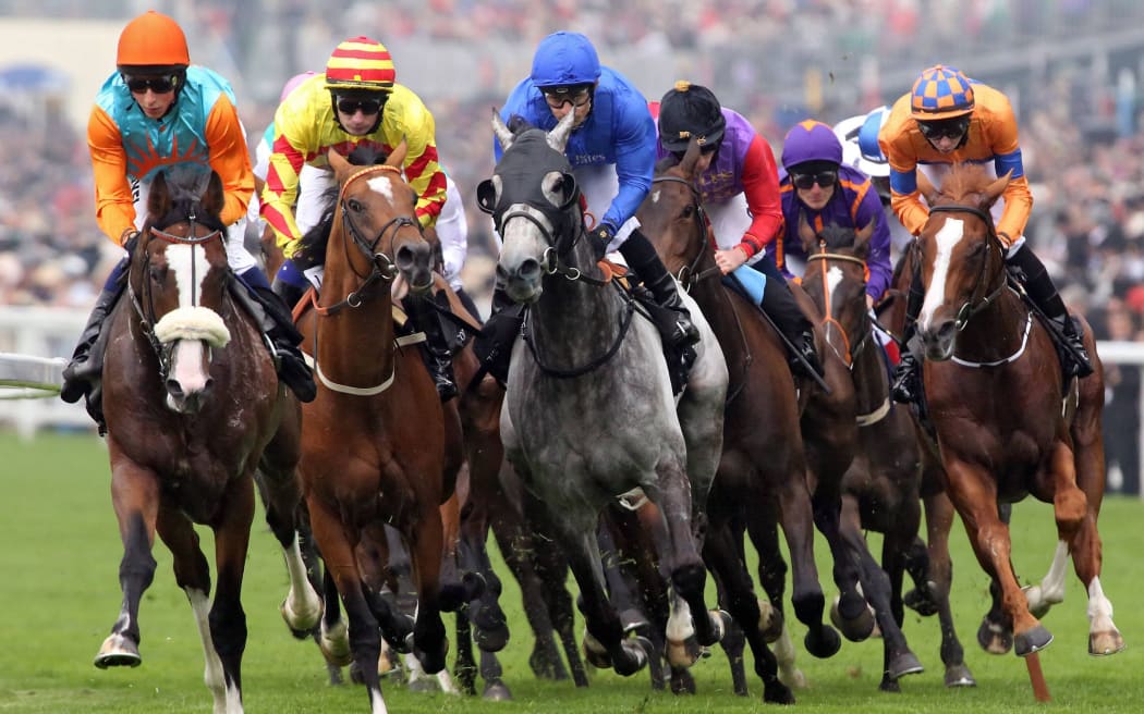 The Ascot Gold Cup