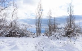 Snow in Tekapo on 9 August, 2025.