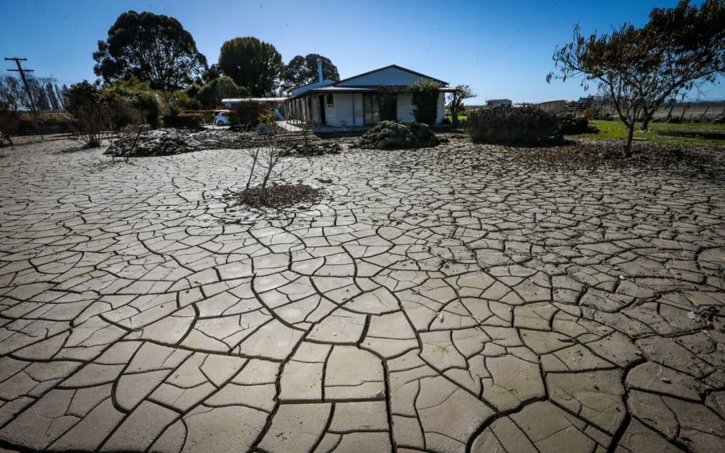 Flood water had risen rose over the roof of Sue and Mike Brown's Pākōwhai home before they and their dog Jazz were rescued by helicopter.