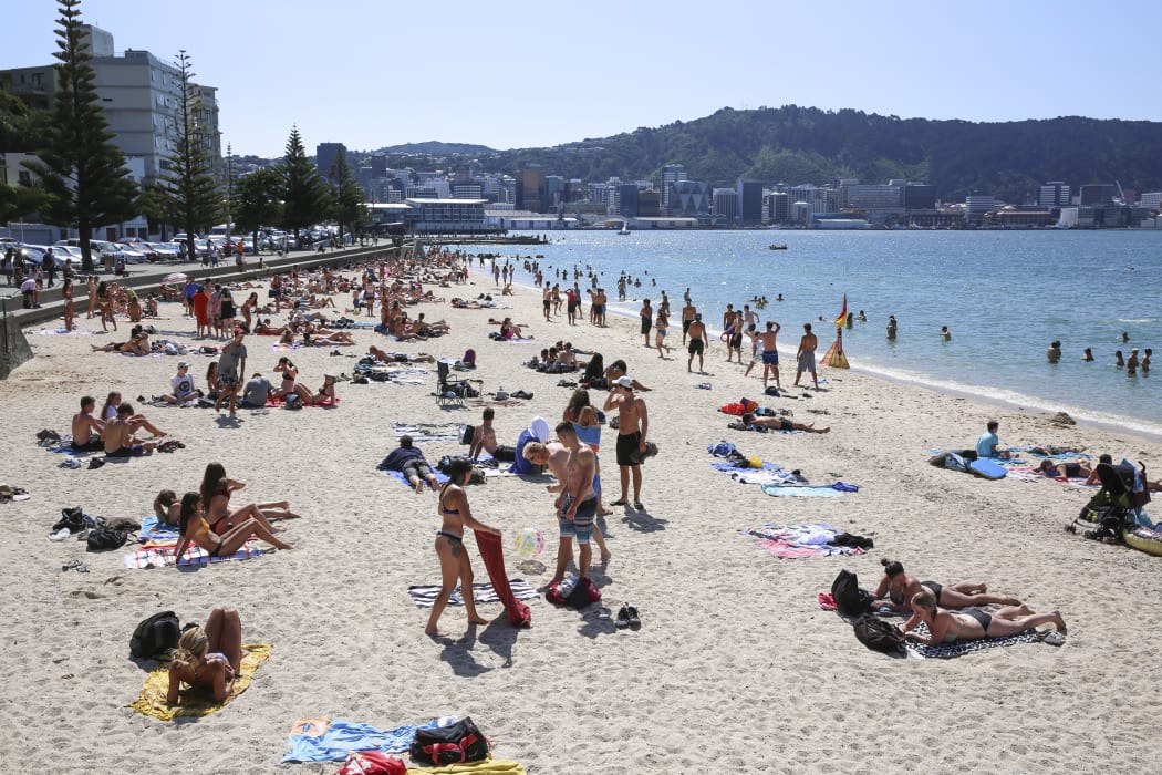 Summer in Wellington