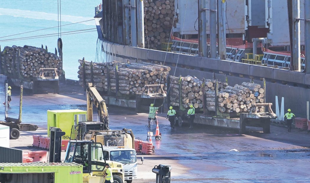 Data circulated by National’s Covid-19 spokesperson Chris Bishop shows that 56 of 71 private sector border workers at Eastland Port had not received any dose of the vaccine at July 22.