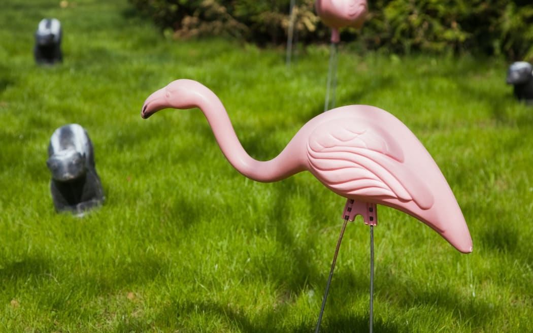 The pink flamingo became a kitsch icon.