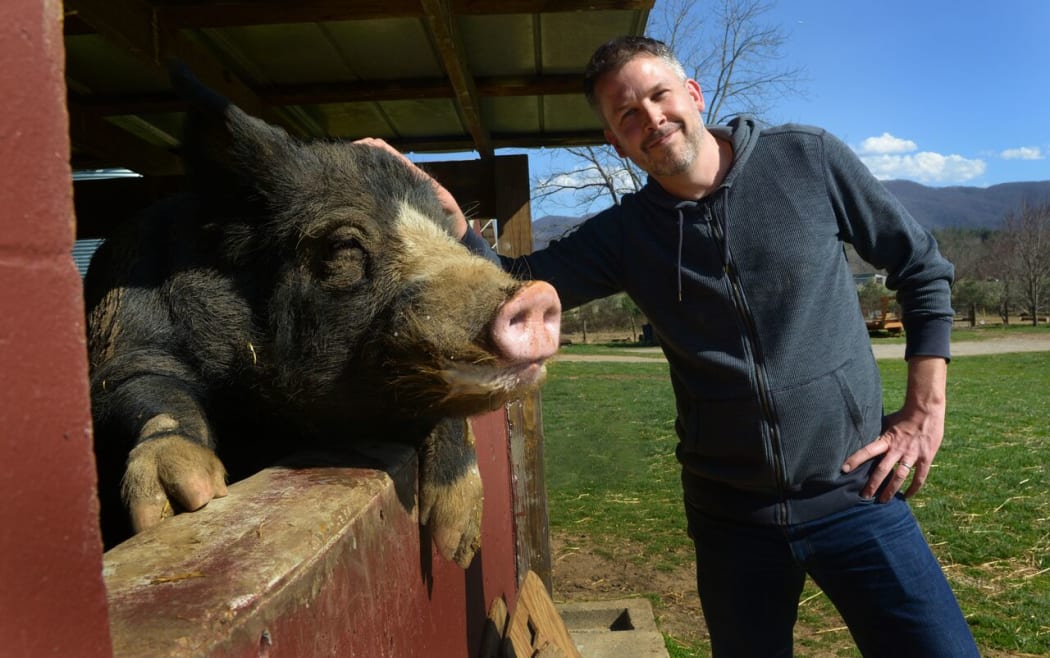 A man and a pig.