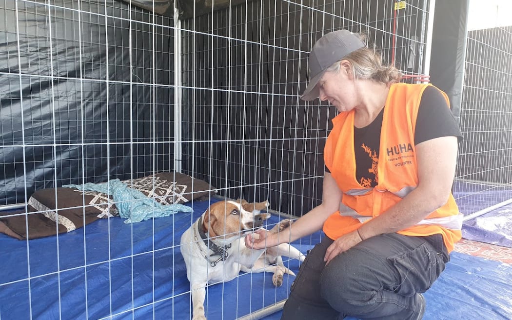 Carolyn Press-McKenzie, of Helping You Helping Animals (HUHA) with a dog in care at the Hastings Racecourse after Cyclone Gabrielle