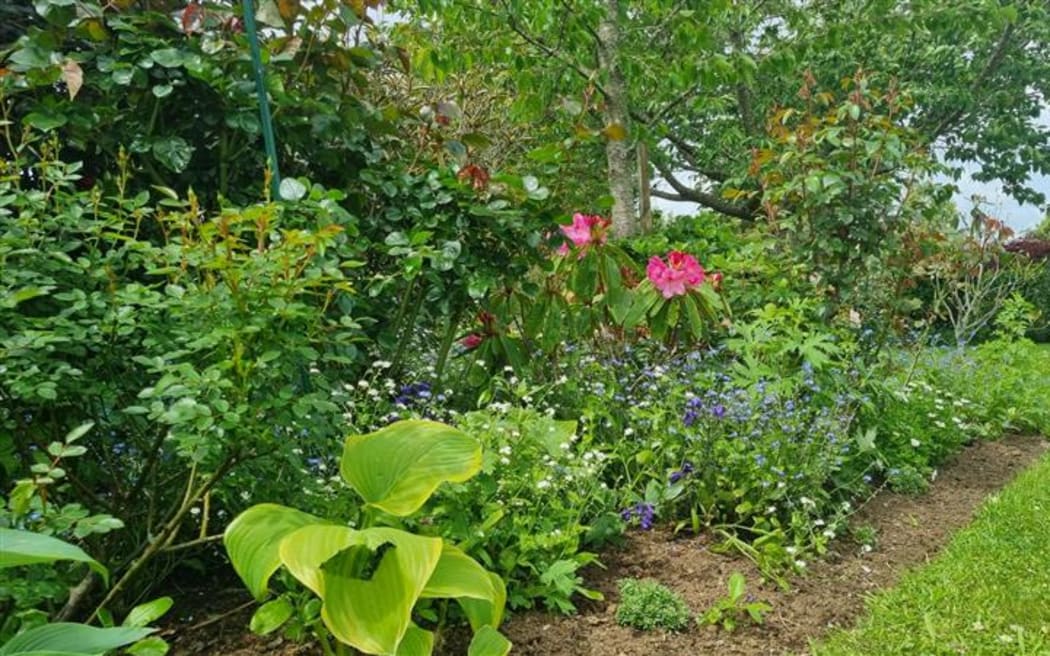 Chris and Gloria Smith's Inglewood garden.