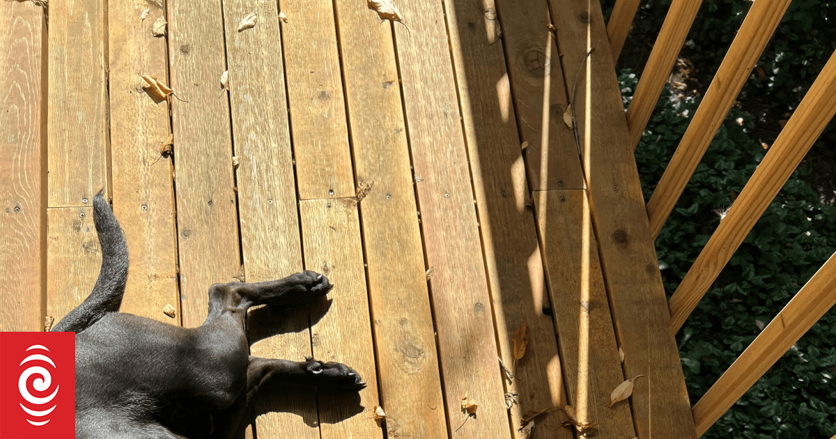 夏天到了，请收藏这份居家露台保养指南