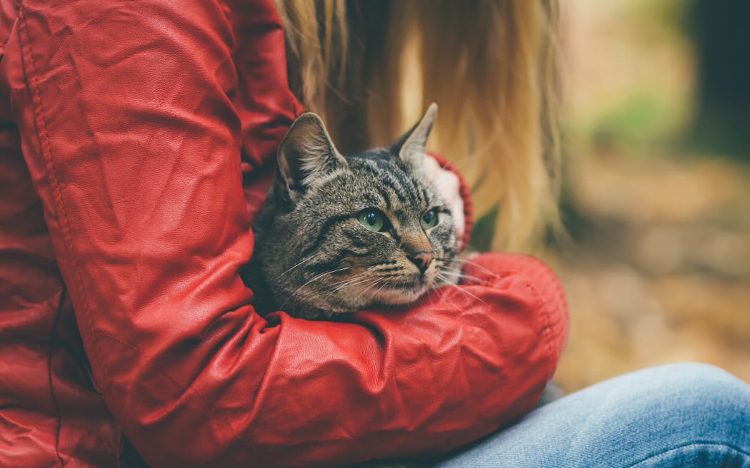 Woman hugging a grey cat