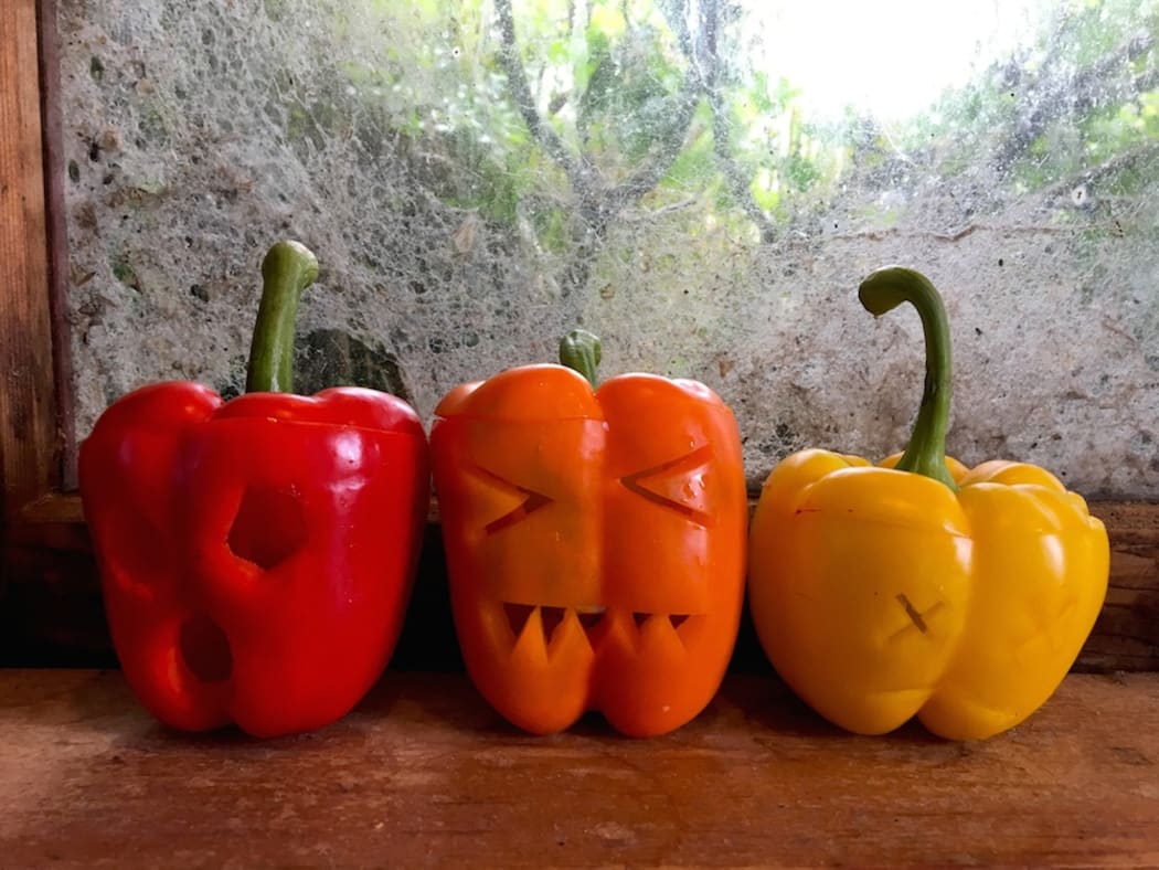 The Family Capsicum