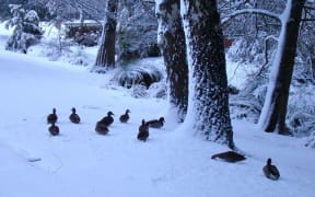 Snow in Christchurch, New Zealand