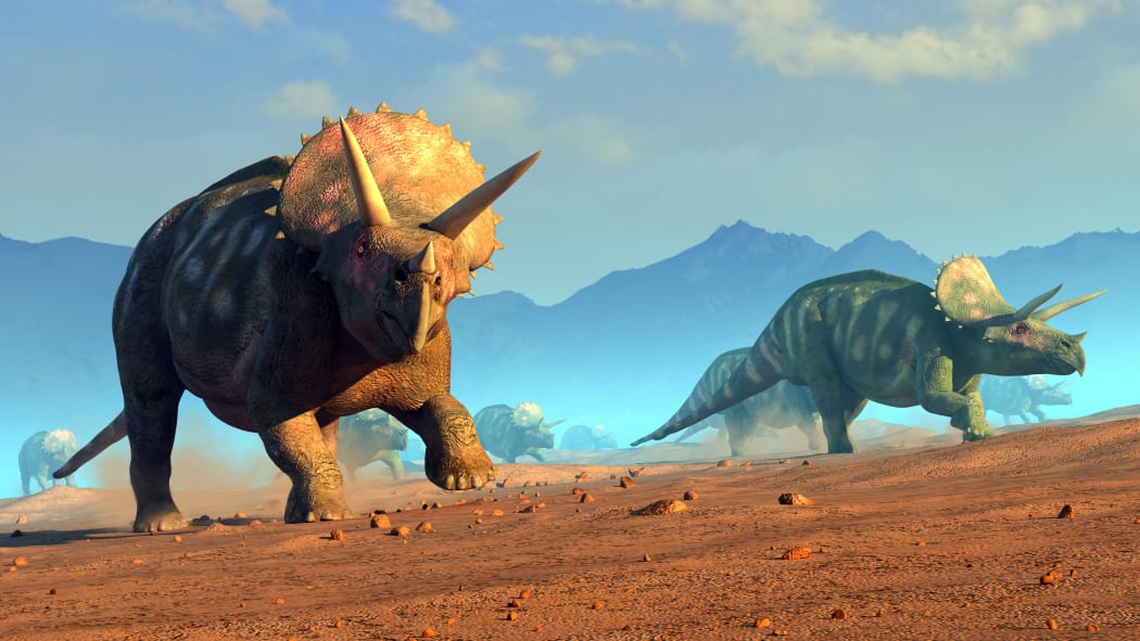 Illustration of a herd of triceratops dinosaurs. The creatures were common in the late Cretaceous period.