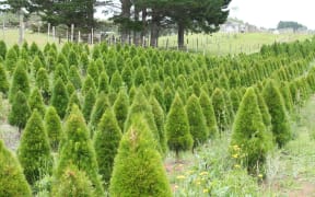 Christmas tree