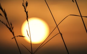Picture of the sun