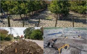 Three images: silt in an orchard, waiting to be collected and at the Omarunui site.