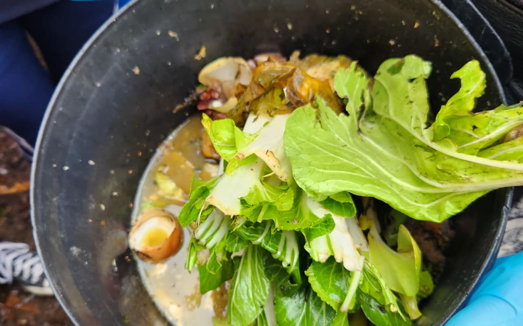 The City to Farm project, run by Hibiscus Coast Zero Waste, collects food scraps from 25 centres - retirement villages, schools, kindies, restaurants and cafes - to be turned into compost for soil improvement on farms nearby
