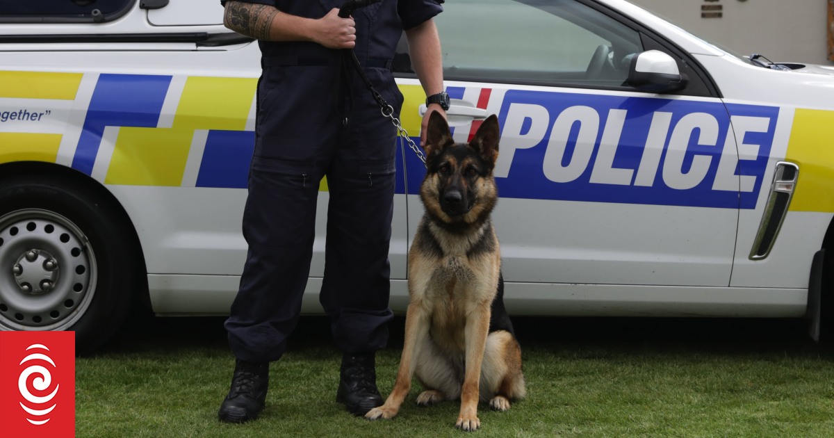 Police dog punched after burglar caught on roof with booze shop loot - Vimarsana News