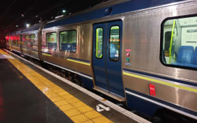 Train at Petone station.