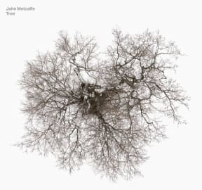 Cover art, John Metcalfe's Tree album