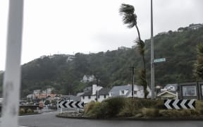 Strong winds batter Wellington on 2 October, 2023.