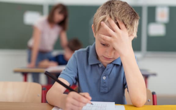 The report said schools needed more resources and better training so they could provide an inclusive education.