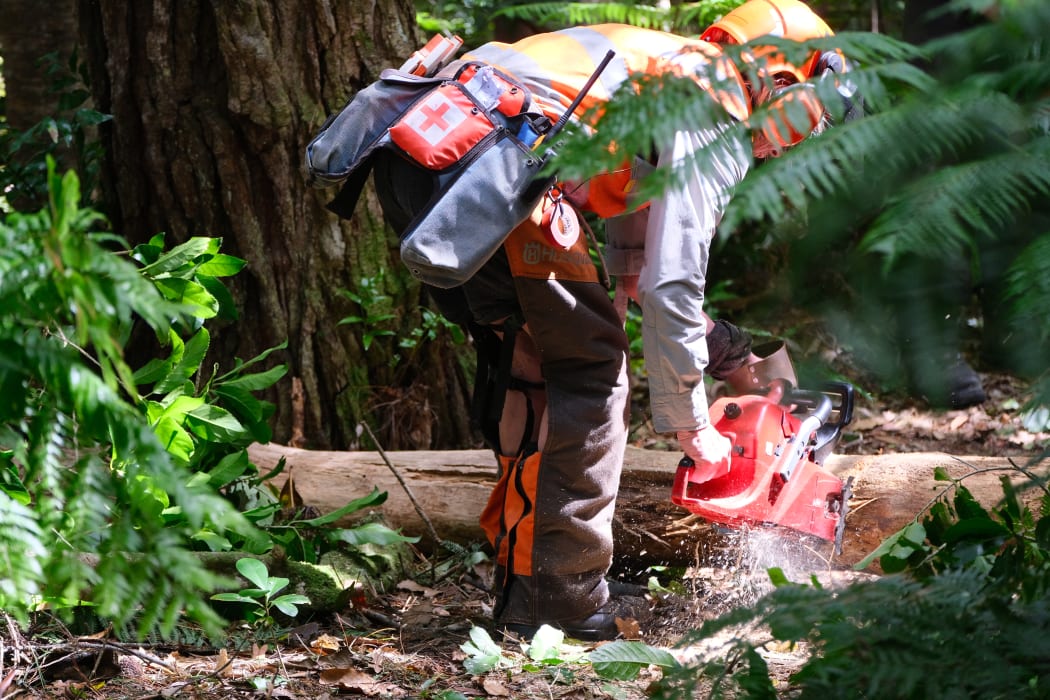 Clearing the tracks.