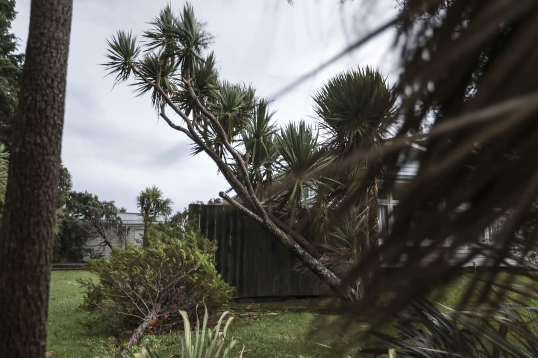 Trees down in a property 5km south of Granity on SH 6