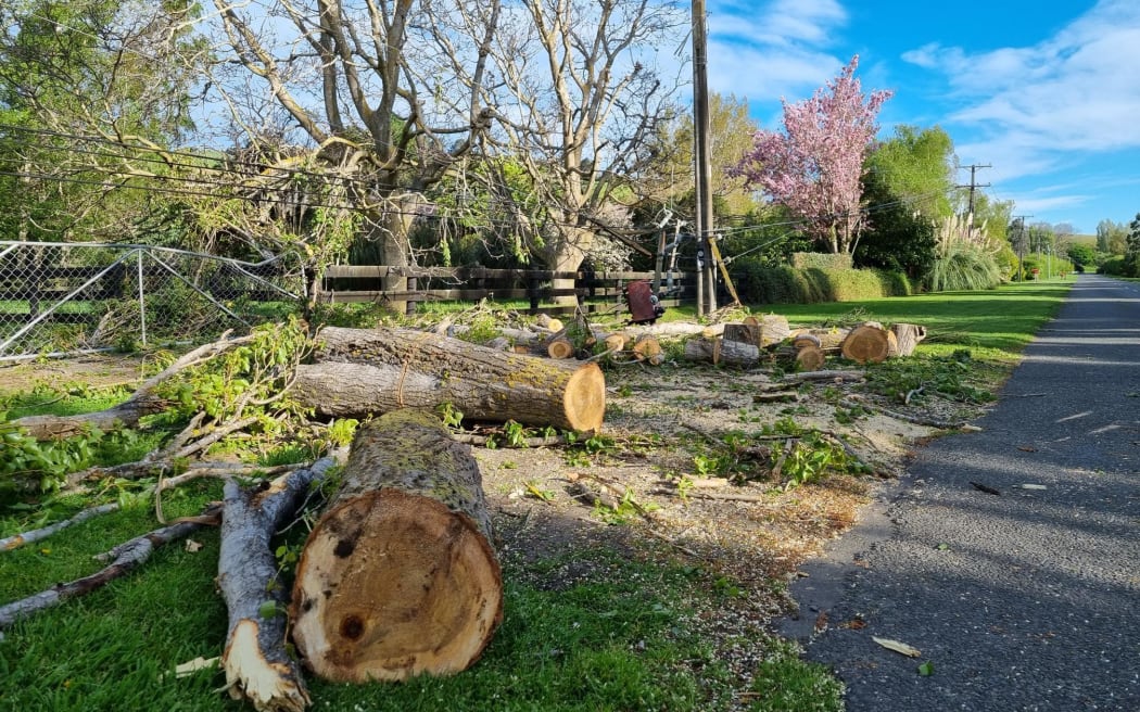 Powerlines down near Halswell in Christchurch after Saturday's heavy winds.