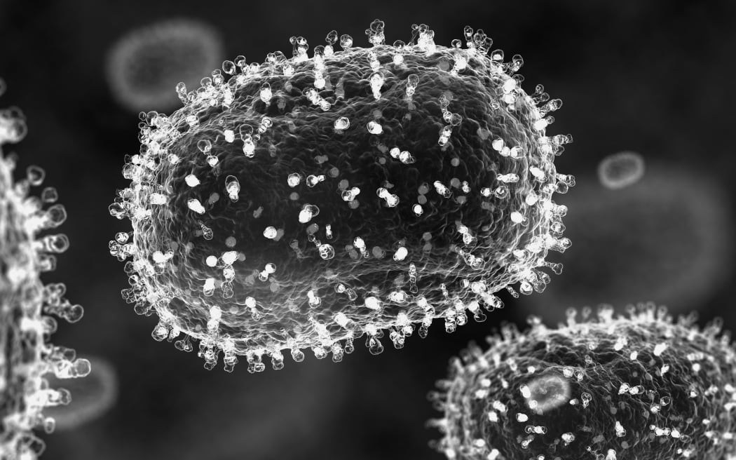 Mpox (previously monkeypox) virus particles, illustration. (Photo by SERGII IAREMENKO/SCIENCE PHOTO L / SIA / Science Photo Library via AFP)