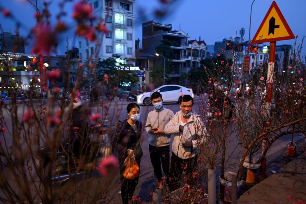 People buy peach blossom trees along a street in Hanoi ahead of Lunar New Year or Tet celebrations.