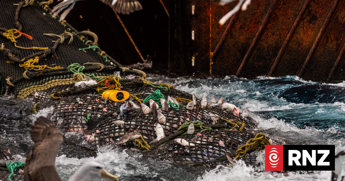 Why bottom trawling could be a top issue in forming the next government