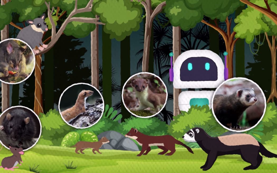 In a forest setting, a robot observes a rat, stoat, weasel, ferret and a possum.