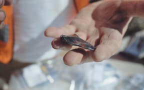 Stone tools made of obsidian were among the objects excavated