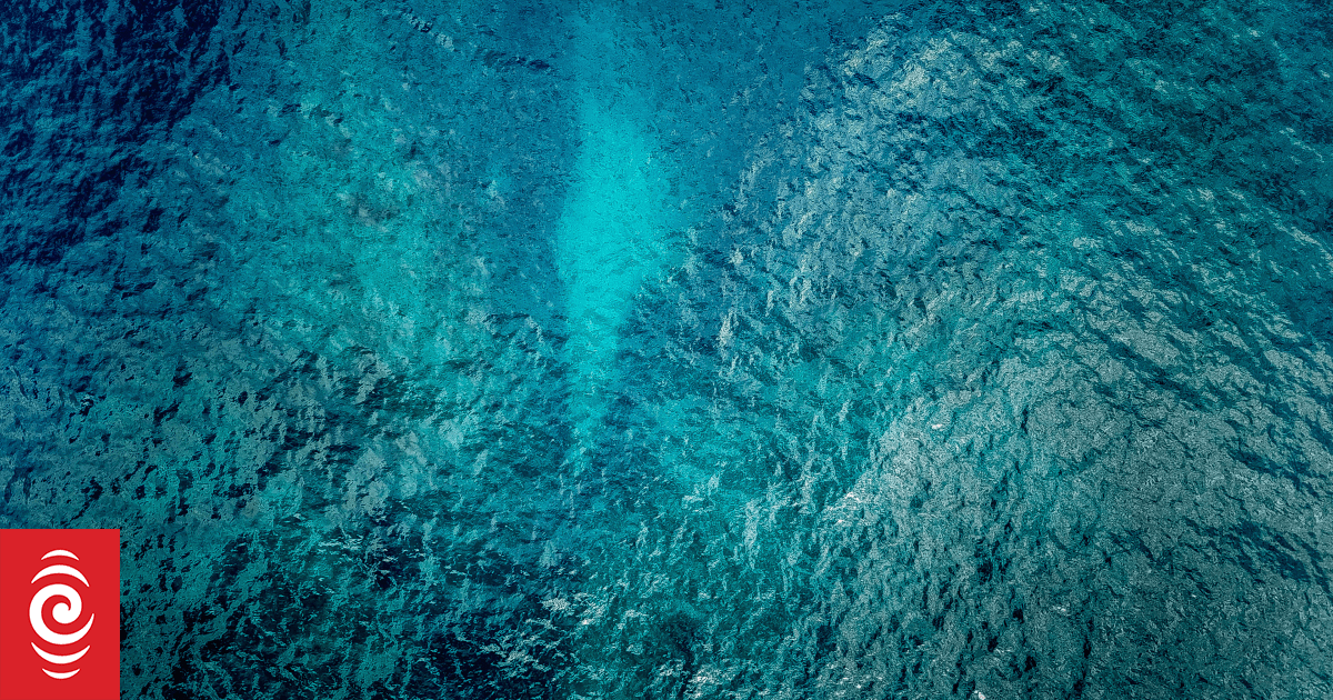 Calls for the UK's role to be considered in the sinking of Manawanui