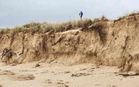 Initial assessments show the east coast between between Cooks Beach and Matarangi to be the hardest hit by Cyclone Hale.