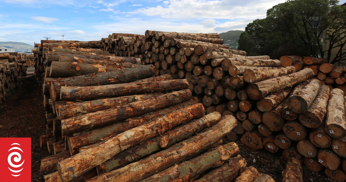Another Gisborne forestry company loses accreditation - Vimarsana News