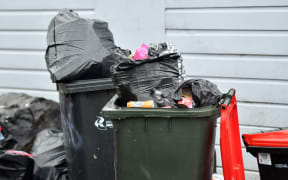 Southlanders who repeatedly contaminate their recycling could soon find themselves bin-less (File photo).