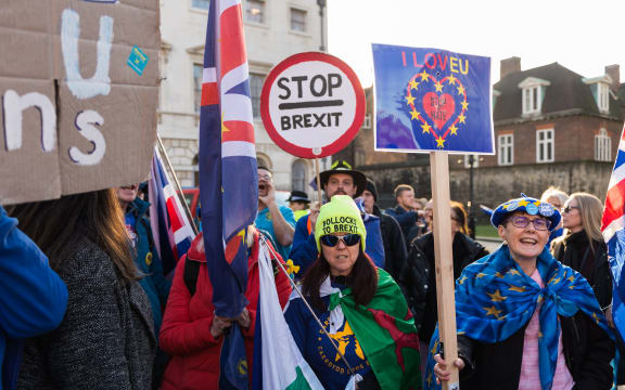 Anti-Brexit supporters protest outside the Houses of Parliament in London as they call on MPs to get Article 50 revoked and demand a People's Vote on EU membership on 14 February, 2019.