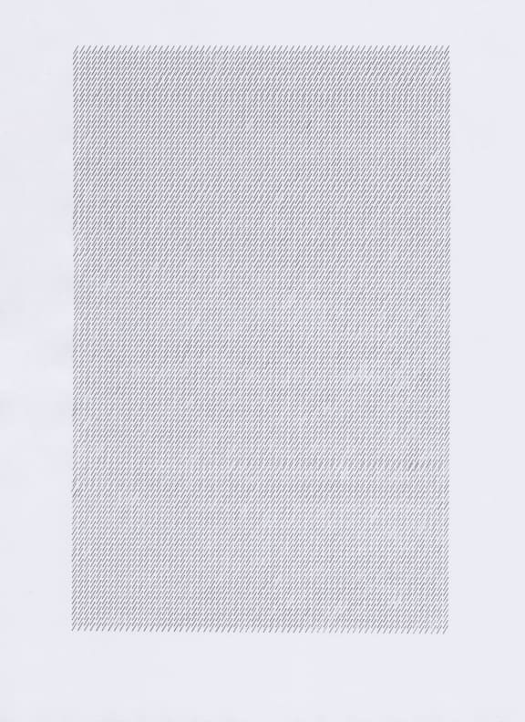 'Forward Slash' by Poppy Lekner, the 2020 Parkin Drawing Prize winner.