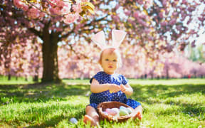 Toddler wearing bunny ears on egg hunt at Easter.