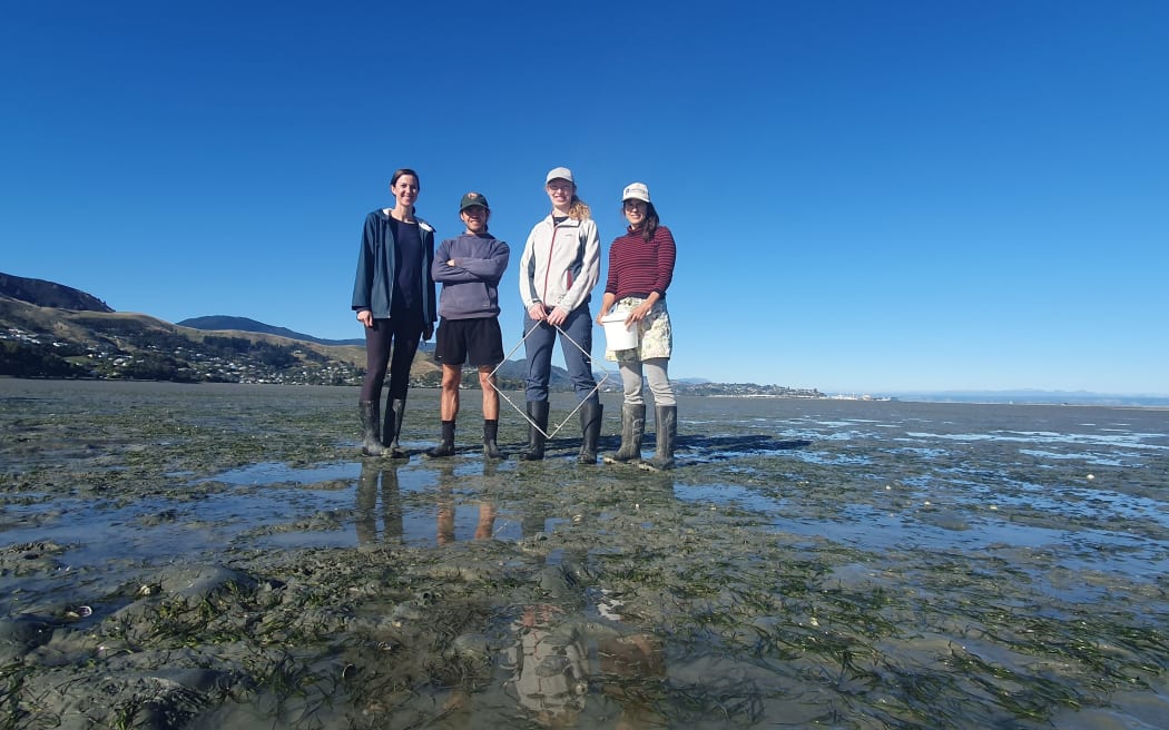 Four people wearing gumboots stand on a puddle-pocked mudflat facing the camera. The sky is blue and there are hills in the background. One person is carrying a square frame.