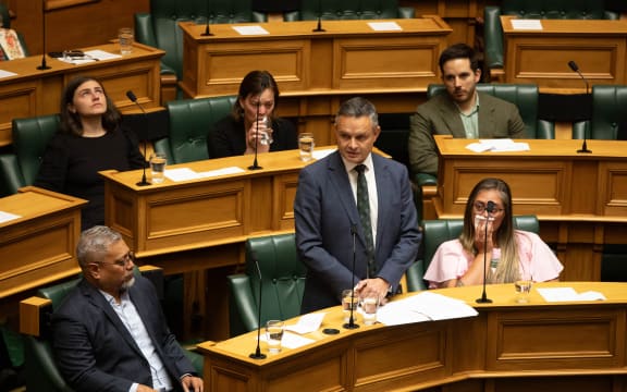 Green Party co-leader James Shaw speaks in Parliament after the death of Fa'anānā Efeso Collins on 21 February, 2024.