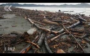 Logs left to wash down rivers, into homes  Tolaga Bay locals