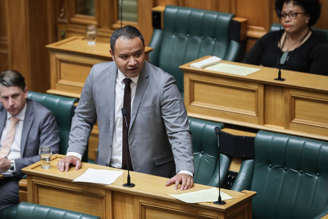 Labour MP Anae Neru Leavasa in the House