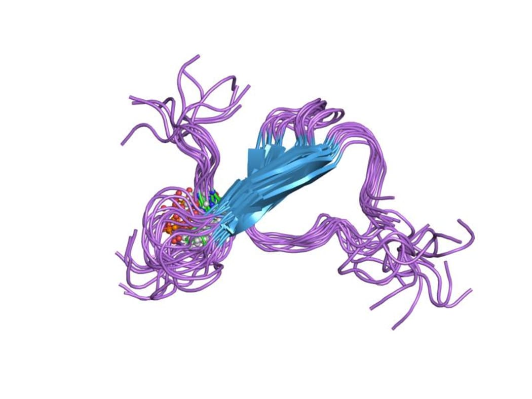 Tau protein