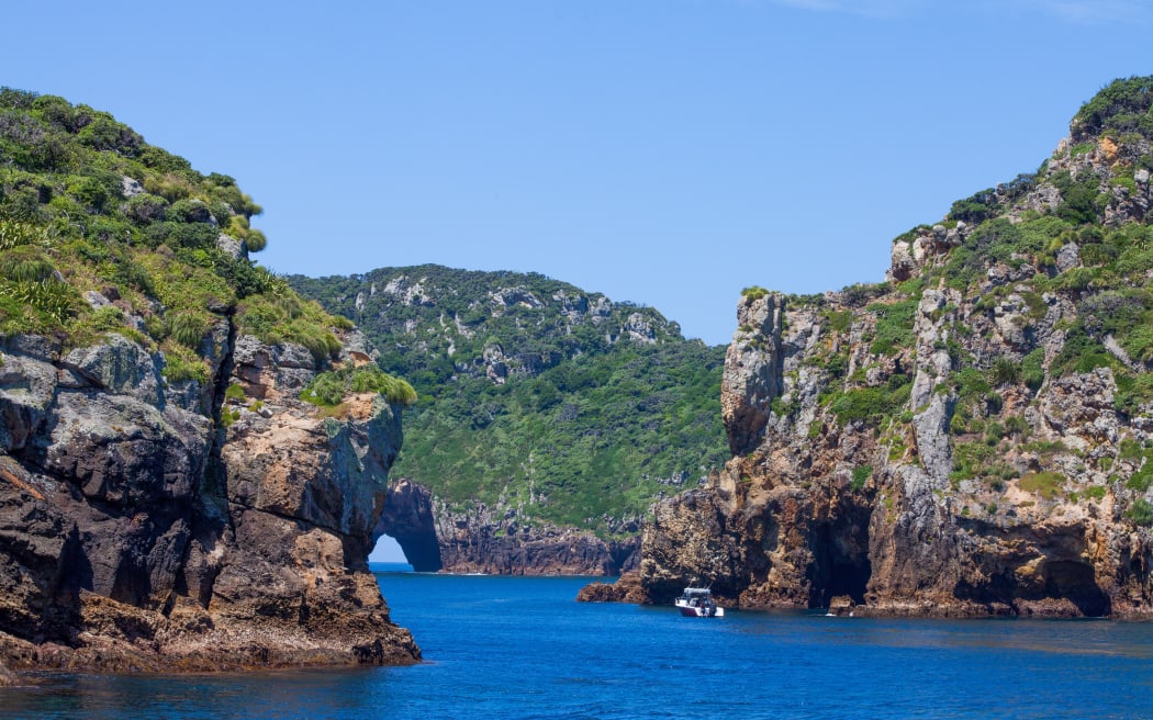 Poor Knights Islands, located east of the Tutukākā coast, Northland.