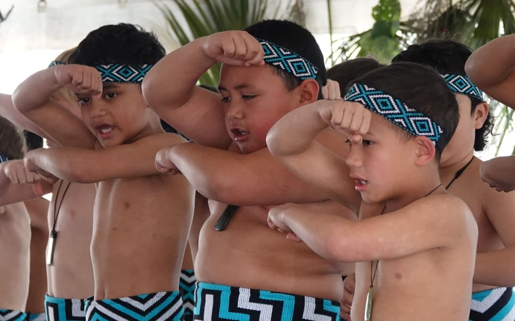Ngā Kākano, Year 2, Kerikeri Primary School.
