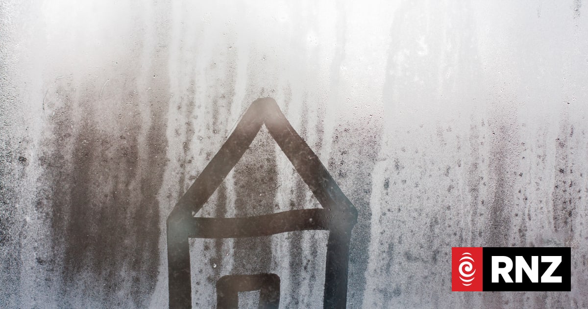 'Same temperature as outside': Students face frigid Dunedin flats