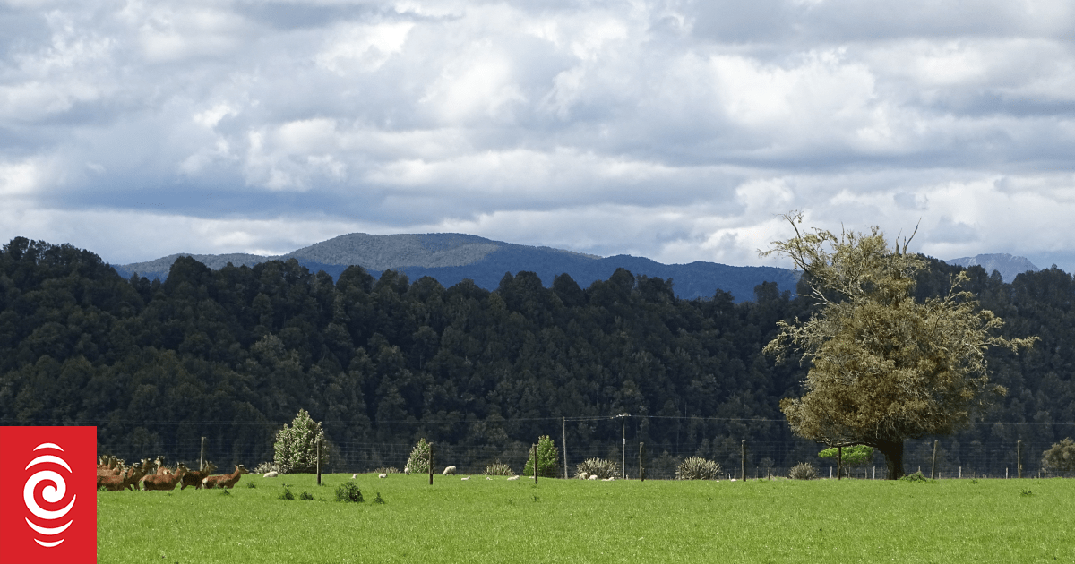 Cash-strapped councils can't afford more compensation, councillors say