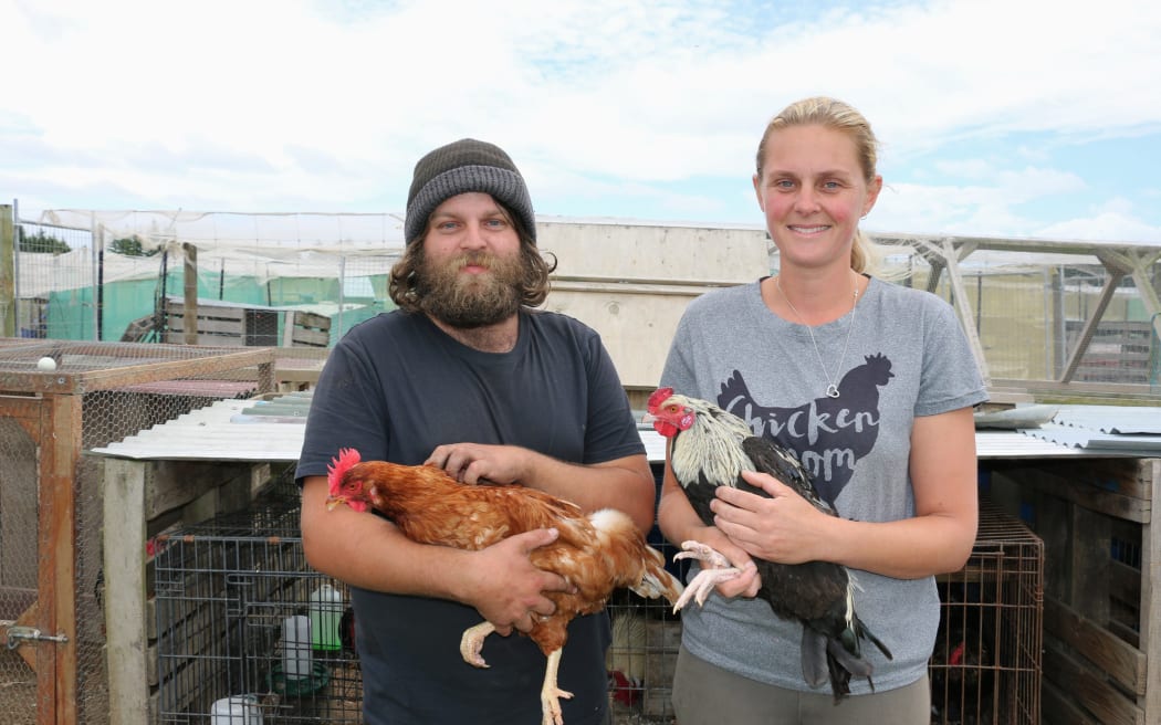 North Canterbury Chicken Rescue