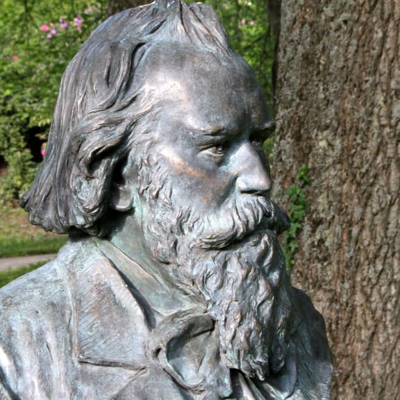 Photo for Brahms and the Orchestra