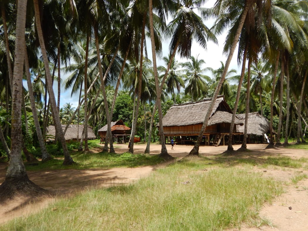 Anti-logging sentiment is strong in East Sepik villages.
